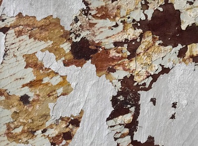 Read more about the article DUDU GARCIA ABRE SUA SEGUNDA INDIVIDUAL HOJE NA VERVE GALERIA