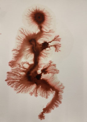 Read more about the article Leilão Anual do Pivô acontece a partir de 23 de novembro pela plataforma IArremate