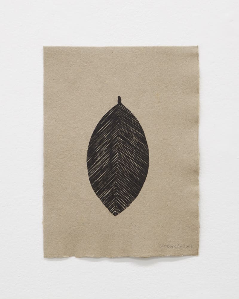 Sheroanawe Hakihiiwe Pisha hena [Folha] [Leaf], 2021 Monotipia sobre papel de cana-de-açúcar [Monotype on sugarcane paper] 31 x 25.5 cm - MASP