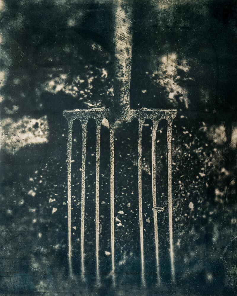 Michael Naify-Ancinho 2023-2024