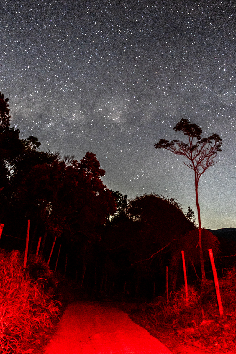 Jornada - Lidia Sumi