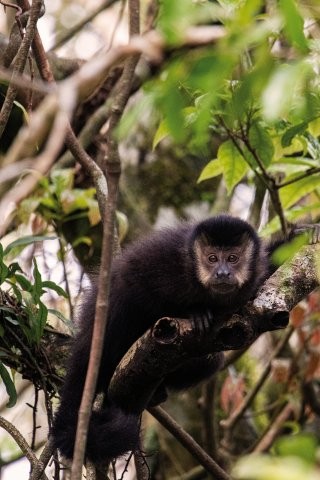 Reserva São Francisco