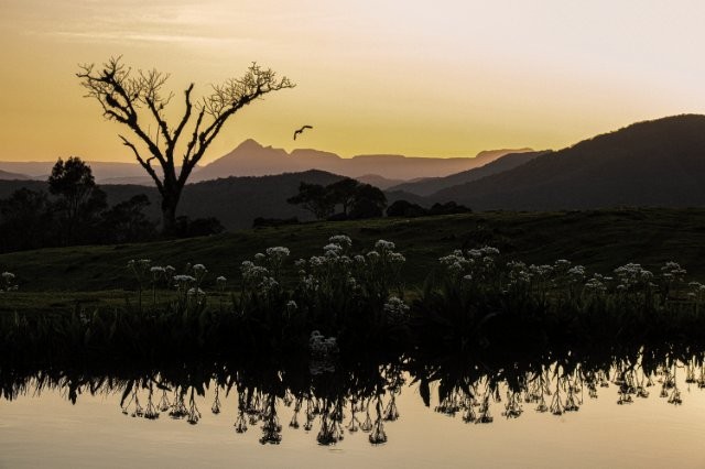 Reserva São Francisco