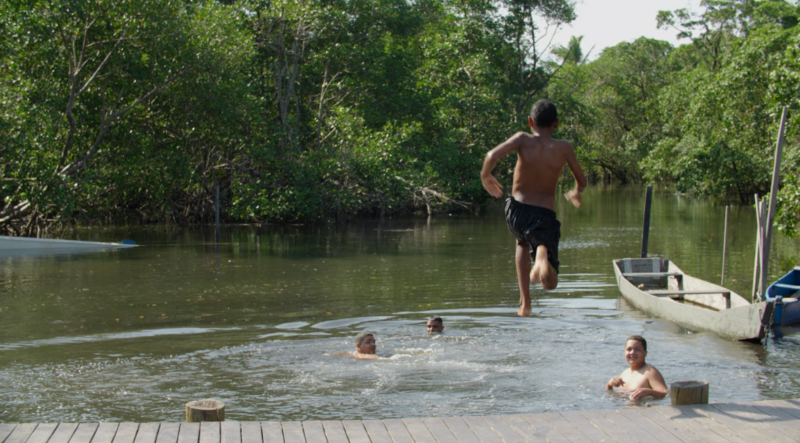 Read more about the article Maior manguezal urbano do Brasil vira protagonista em documentário sobre preservação e Economia Azul no ES