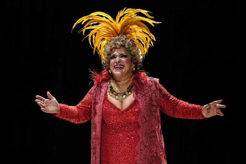 Read more about the article Grace Gianoukas inicia 2026 no palco do Teatro Rival em “NASCI PRA SER DERCY”