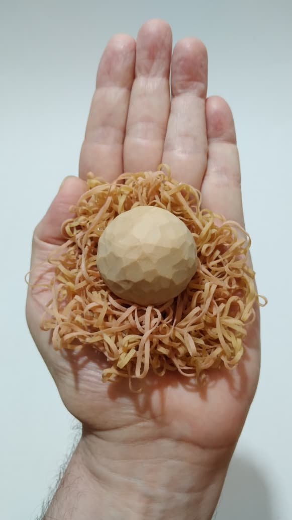 Ninhos de Pássaros Bem Nascidos