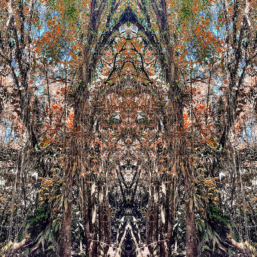 Read more about the article “QUEBRA VIBRA” do carioca Jaques Faing até 25/04 na Casa Rosa Amarela/SP